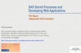 Sas stored processes for creating great visualisations
