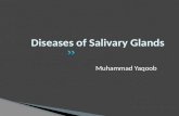 Diseases of salivary glands