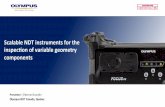Scalable NDT Instruments for the Inspection of Variable Geometry Components
