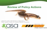 Batrachochytrium salamandrivorans: A review of policy responses in North America