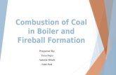 Fireball Formation and Combustion of Coal in a Boiler