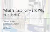 What Is Taxonomy and Why Is It Useful?