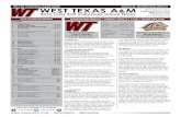 WT Volleyball Game Notes (10-30-16)