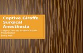 Giraffe Anesthesia Presentation-Emily Hall-2