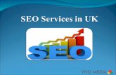 SEO Services in UK - YNG Media