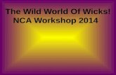 Nca workshop 2014 copy