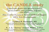 09202013 CANDLE SLLS Hair Cortisol KJSA&CRR