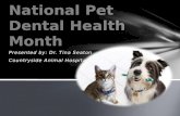 National pet dental health month