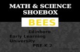Chandler, Science Shoebox. bees