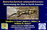 Batrachochytrium salamandrivorans: Determining the Risk to North America