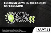 EMERGING VIEWS ON THE EASTERN CAPE ECONOMY