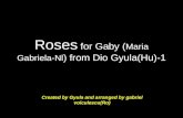 Roses for gaby from gyula 1