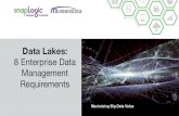 Data Lakes: 8 Enterprise Data Management Requirements