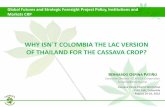 Why isn´t Colombia the LAC version  of Thailand for the cassava crop?