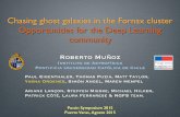 The Next Generation Fornax Survey - Pucon Symposium 2015