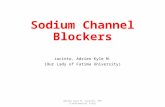 Sodium channel blockers (full coverage)