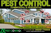 For low cost pest control services call 9899176888