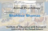 Animal psychology Best Presentation