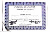 Florida Seaplanes Certificate