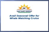 Perfect Whale Watching San Juan Islands
