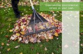 Expert Lawn Care Ideas Lebanon Locals Must Know
