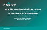 Microbial sampling in building surveys what and why