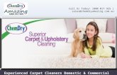 Experienced Carpet Cleaners Domestic & Commercial Sectors In Brisbane -ChemDry Amazing