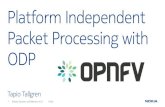 Platform Independent Packet Processing with ODL