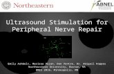 Ultrasound Stimulation for Peripheral Nerve Repair v7