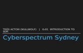 Cyberspectrum Sydney   0x01 Introduction to SDR