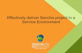 Sencha Services