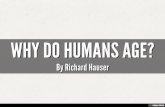 Why do humans age?