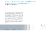 LTE- Advanced (3GPP Rel.12) - Technology Introduction