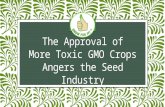 The Approval of More Toxic GMO Crops Angers the Seed Industry