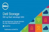 Dell SSD og Flash teknologi i SAN