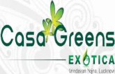 Casa Greens Exotica Vrindavan Yojna Lucknow Location Map Price List Si
