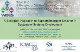WDES 2015 paper: A Biological Inspiration to Support Emergent Behavior in Systems-of-Systems Development