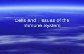 Cells and organs of immune system