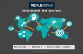 World Ad Pays PayPlan