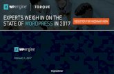 Webinar: Experts Weigh in on the State of WordPress for 2017