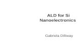ALD for semiconductor applications_Workshop2010