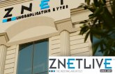 ZNetLive - A Quick Overview