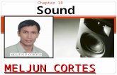 MELJUN CORTES  computer organization_lecture_chapter18_sounds