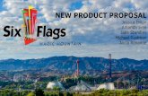 Six Flags New Product Proposal (2)
