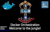 Docker Orchestration: Welcome to the Jungle! JavaOne 2015