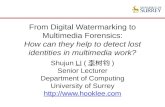From Digital Watermarking to Multimedia Forensics: How can they help to detect lost identities in multimedia work?