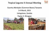Country workplan Common beans TanzaniaTL III Annual meet