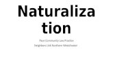 Naturalization Training