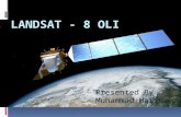 Landsat 8 OLI (Operational Land Imager)