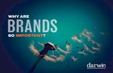 Why are brands so important?